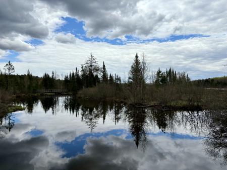 L’effet miroir