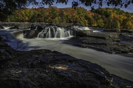 Chute des ailes  sentier Buis
