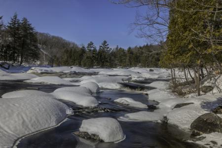 Trail le lièvre, parc de la rivière Batiscan