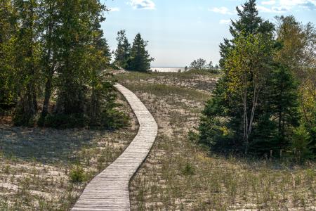 Promenade à travers un habitat de dunes fragile