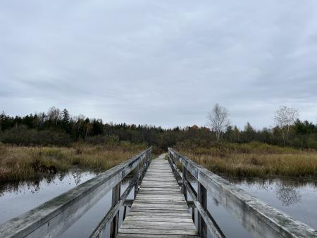 Sentier du marais Maskinongé 