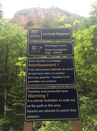 La Forêt Magique