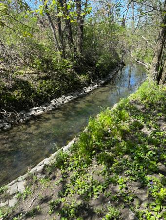 Sentier Peuplier (1) - Collecteur la Pinière