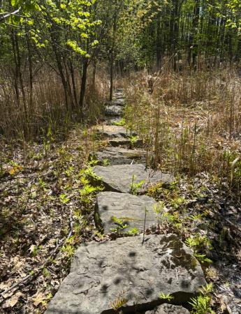 Sentier Quenouille (4)