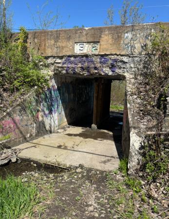 Sentier Peuplier (1)