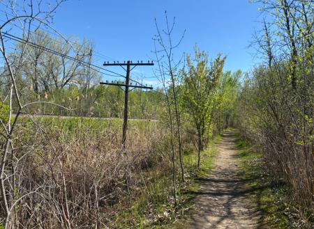 Sentier Peuplier (1)